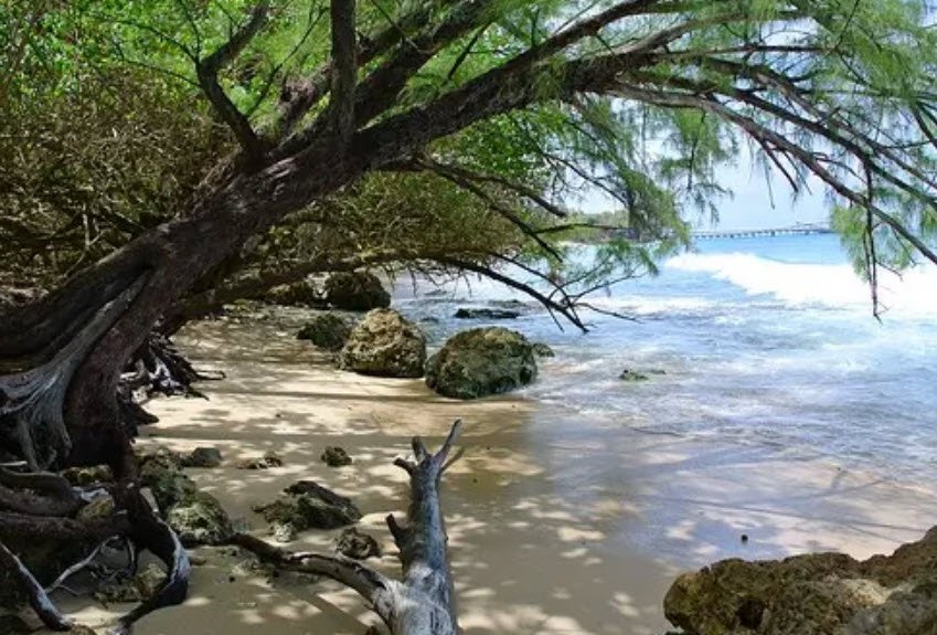 Maycocks Bay, Barbados, Barbados